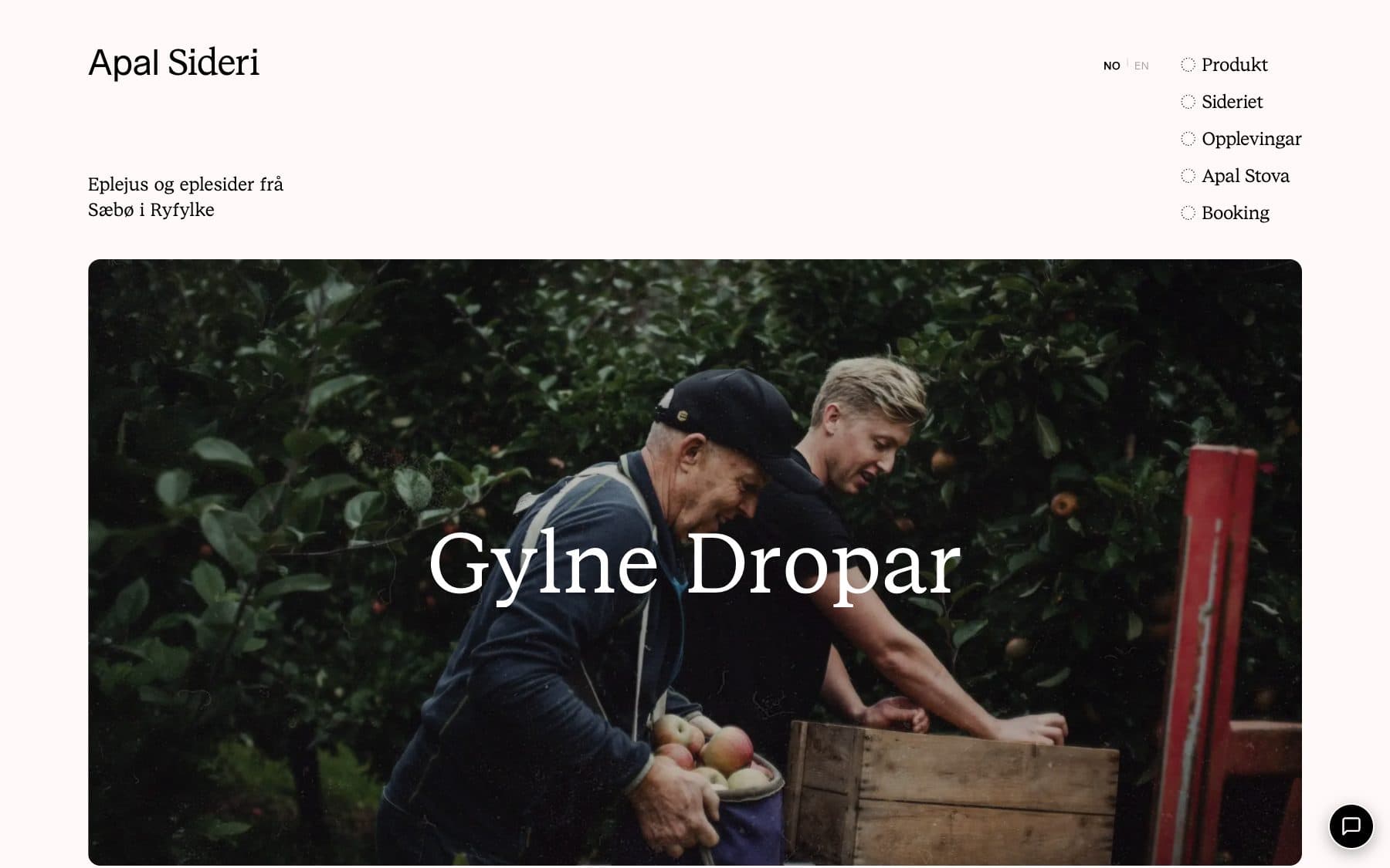 Skjermbilde av apalsideri.no